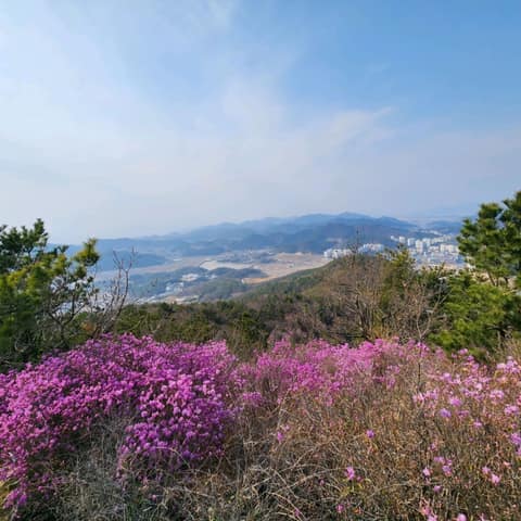 안심산 둘레길 사진 1