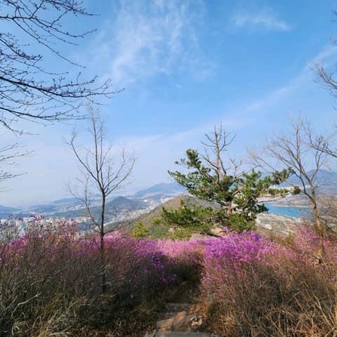 안심산 둘레길 사진 2