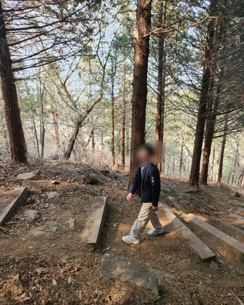 안심산 둘레길 사진 4