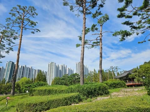 화랑유원지 걷기 코스 사진 4