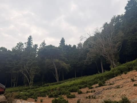 다솔사 숲길 걷기코스 사진 2
