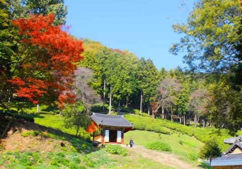 다솔사 숲길 걷기코스 사진 5