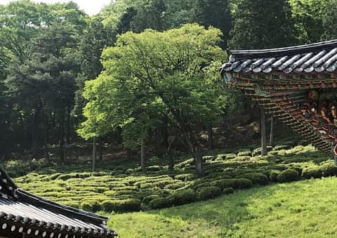 다솔사 숲길 걷기코스 사진 6