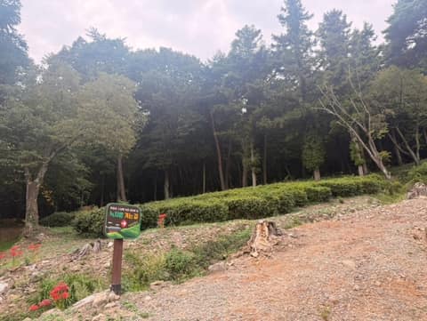 다솔사 숲길 걷기코스 사진 9