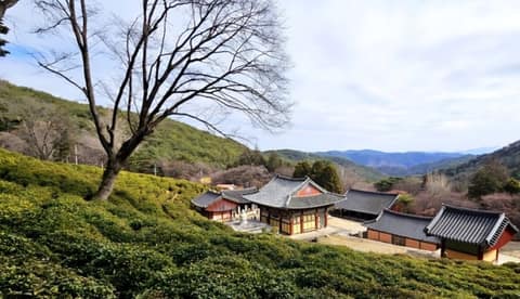 다솔사 숲길 걷기코스 사진 10