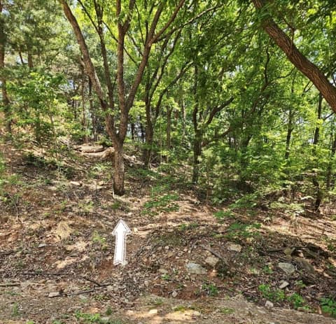 장군산 둘레길 사진 5
