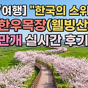 연희맛길 사진 2