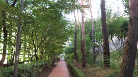 염창산 산책길 사진 1