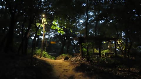 염창산 산책길 사진 2