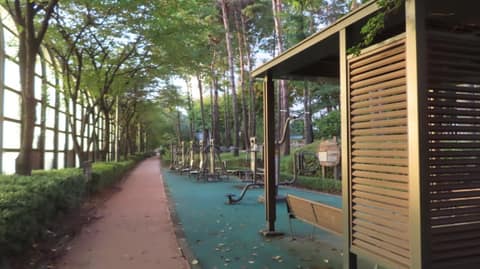 염창산 산책길 사진 5