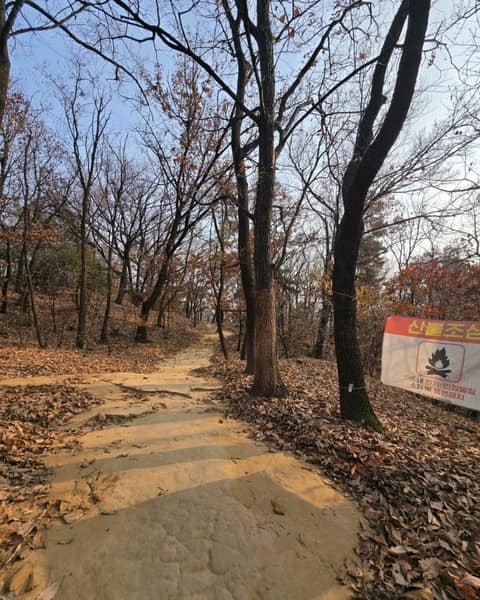 염창산 산책길 사진 6