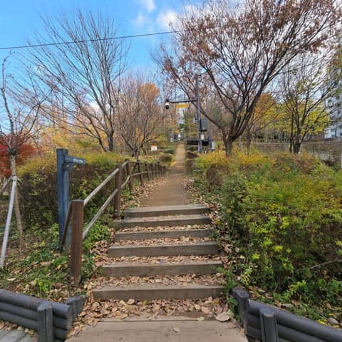 염창산 산책길 사진 10