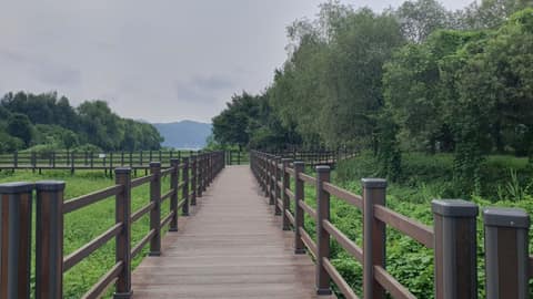 자라섬 산책길 사진 1