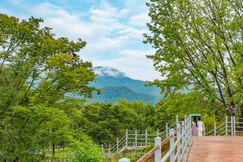 자라섬 산책길 사진 2