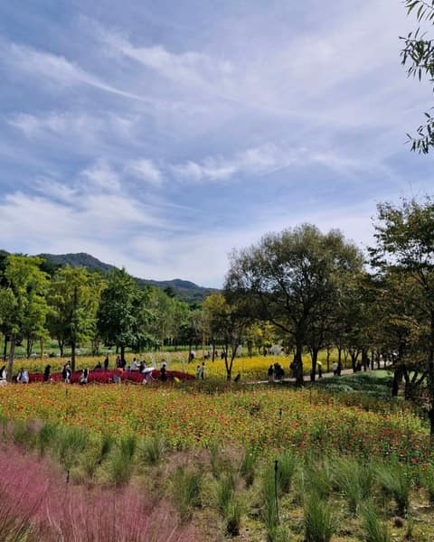 자라섬 산책길 사진 6