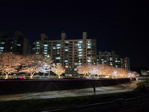 안성 금석천 산책길 사진 1