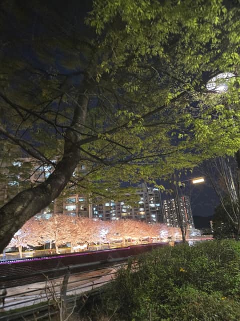 안성 금석천 산책길 사진 2