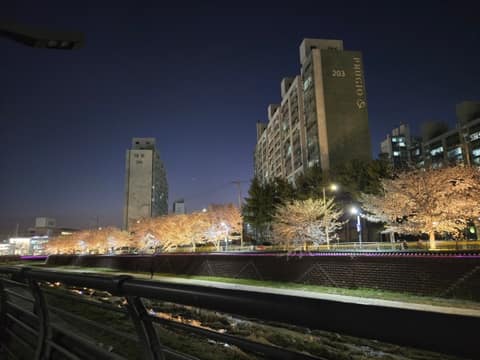 안성 금석천 산책길 사진 6