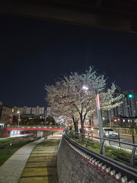 안성 금석천 산책길 사진 7