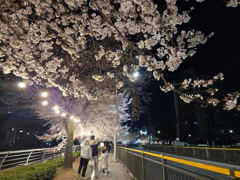 안성 금석천 산책길 사진 8