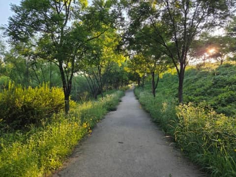 두리생태공원 갈대숲길 사진 1