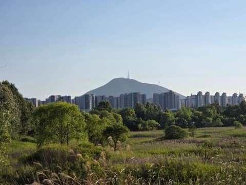 두리생태공원 갈대숲길 사진 7