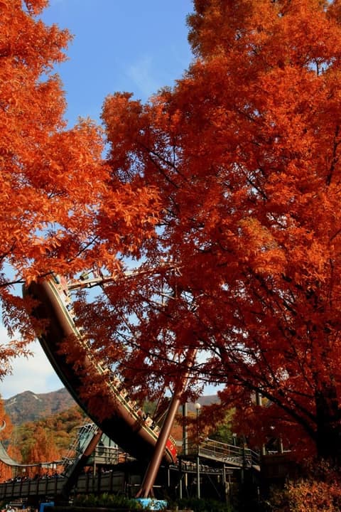 서울랜드 산책길 사진 4