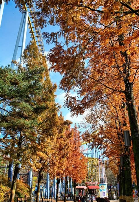 서울랜드 산책길 사진 5