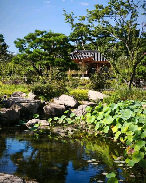 서울식물원 대표 산책길 사진 7