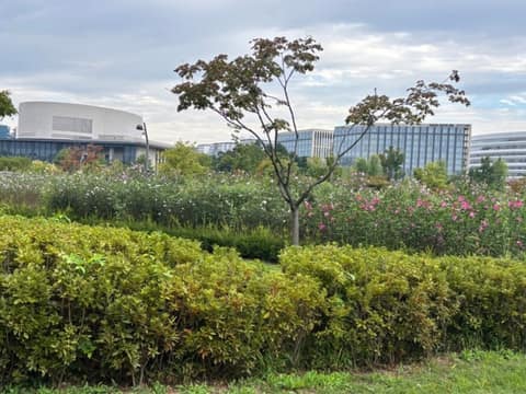 서울식물원 대표 산책길 사진 9