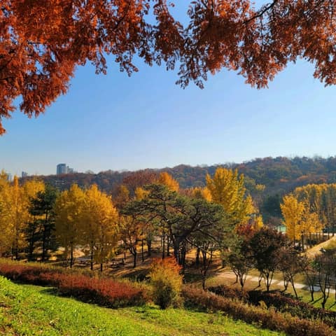 원적산공원 둘레길 사진 6