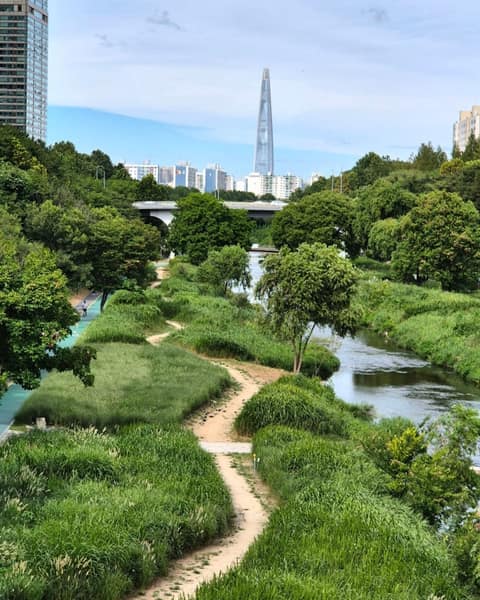 양재천 산책길 02코스 사진 3