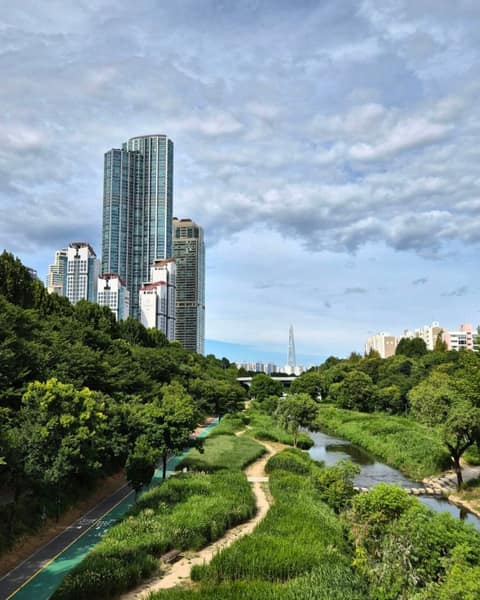 양재천 산책길 02코스 사진 5