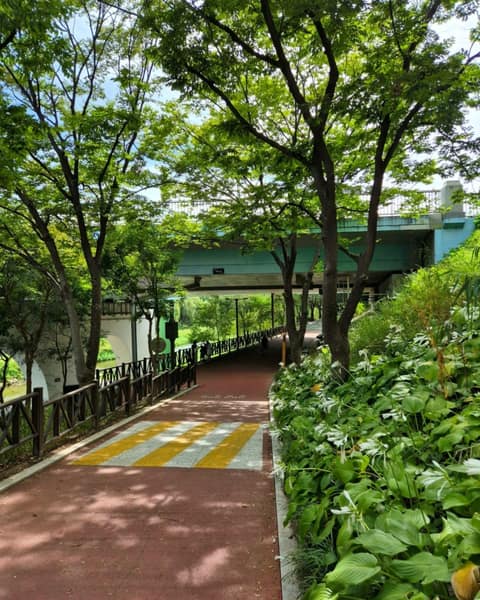 양재천 산책길 02코스 사진 8