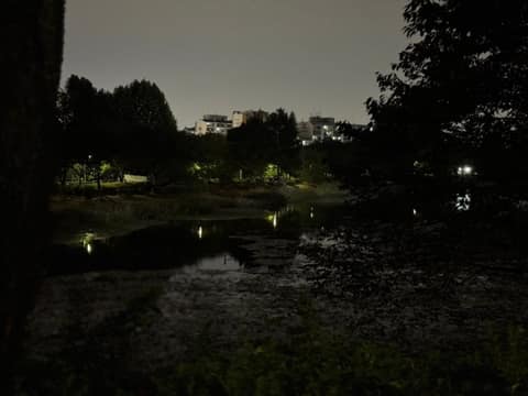 서서울호수공원 산책길 사진 5