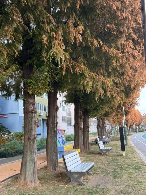 동목포근린공원 맨발길 사진 1