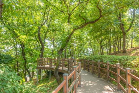 이천 온천공원 산책길 사진 3