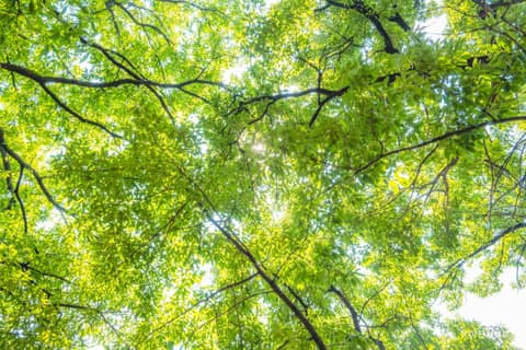 이천 온천공원 산책길 사진 8