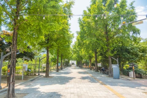 이천 온천공원 산책길 사진 10