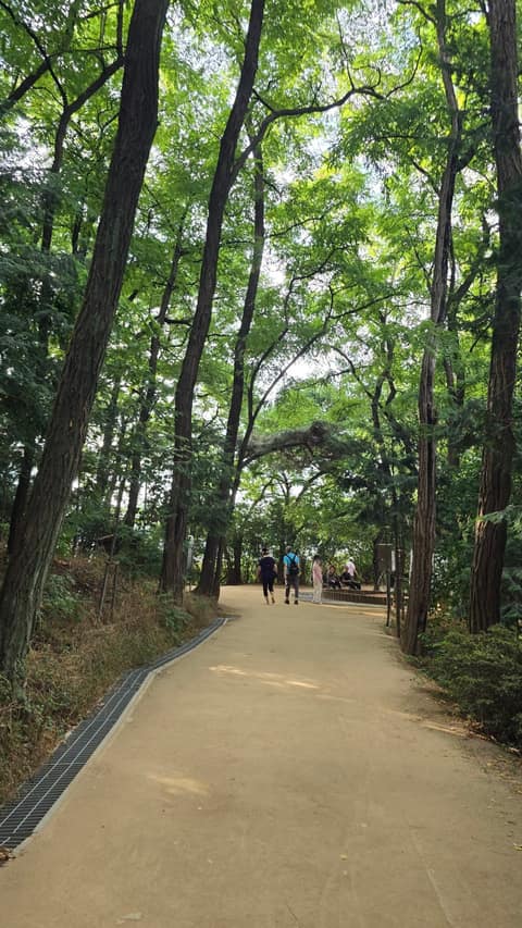 야시골 공원 산책로 사진 1