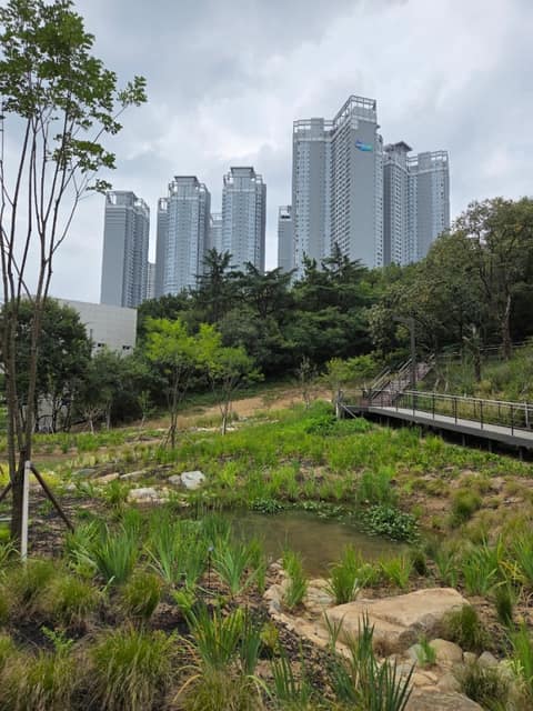 야시골 공원 산책로 사진 2