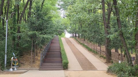 야시골 공원 산책로 사진 3