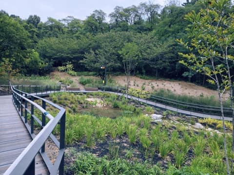 야시골 공원 산책로 사진 4