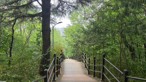 야시골 공원 산책로 사진 7