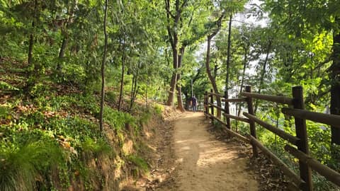 야시골 공원 산책로 사진 9