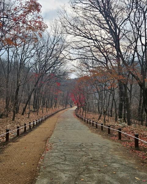 안양예술공원(안예공길) 사진 6