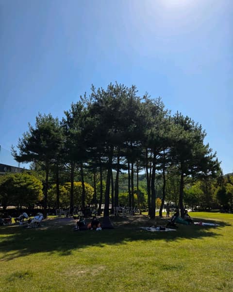 율동공원 산책길 사진 1