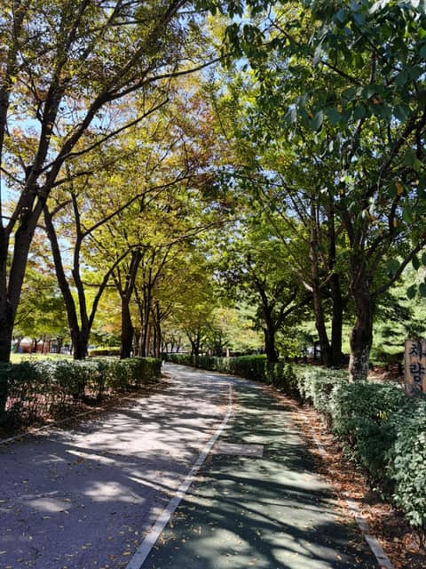 율동공원 산책길 사진 3