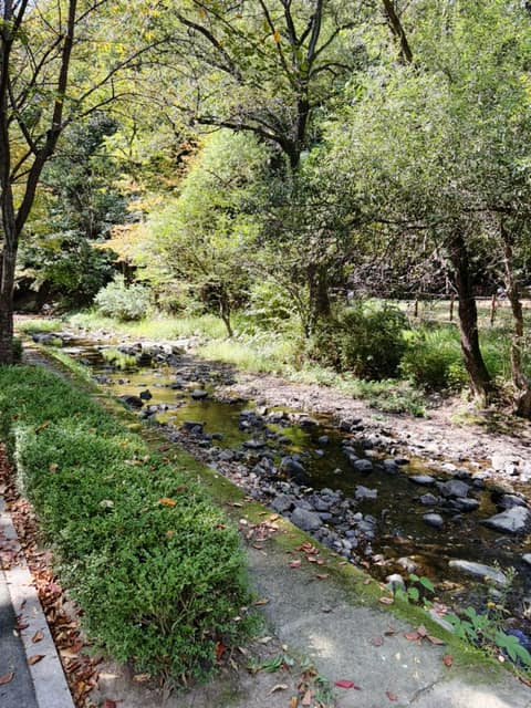 율동공원 산책길 사진 8