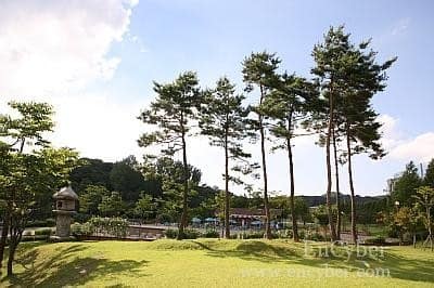 율동공원 산책길 사진 9